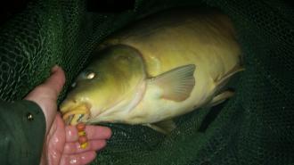 gewinkombination 055945